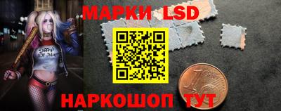 прущие грибы Камышлов