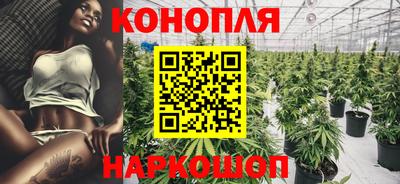 прущие грибы Камышлов